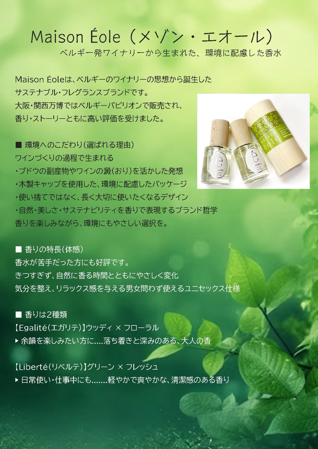 ブルンジ産MORINGA(モリンガ）オイル 100ml