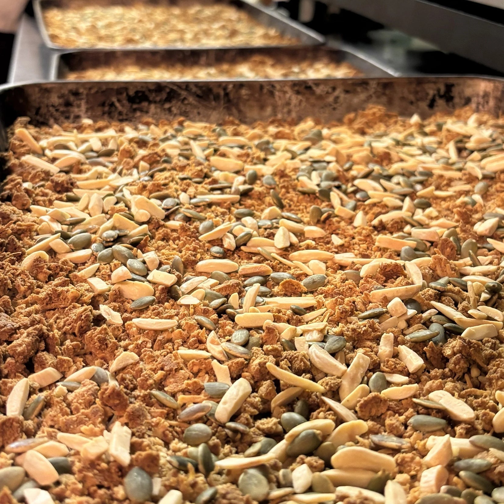 OKARADA（オカラダ）おからグラノーラ (100g)